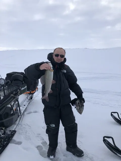 Зимний Канин